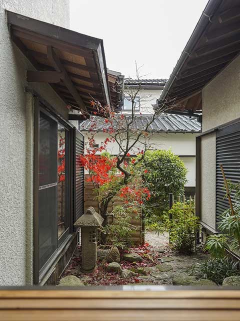 完成写真／中庭