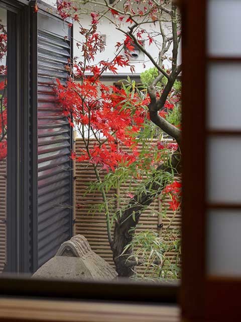 完成写真／中庭チラリ