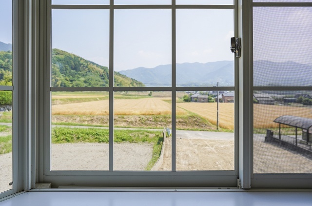 完成写真